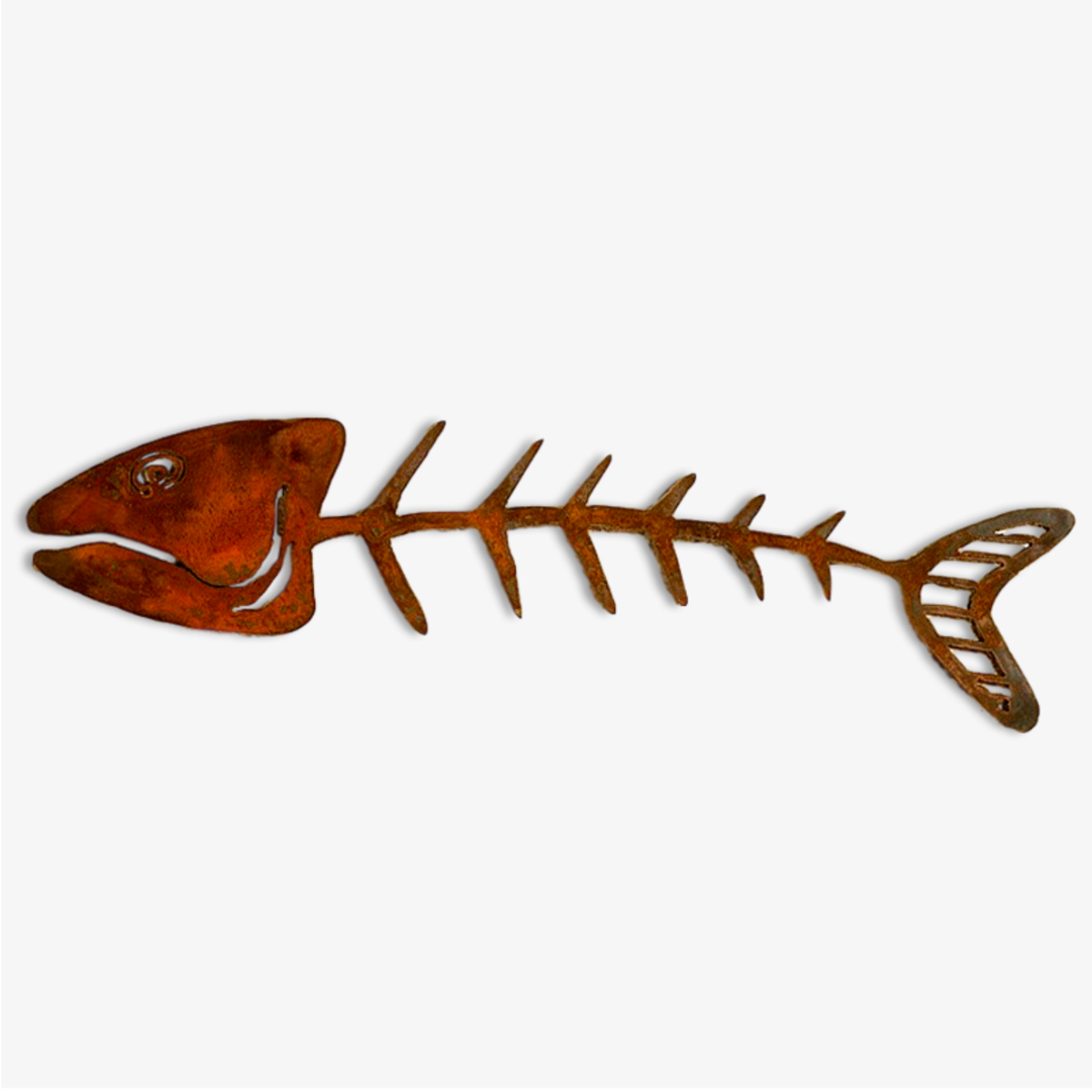 Elizabeth Keith Designs - Bone Fish