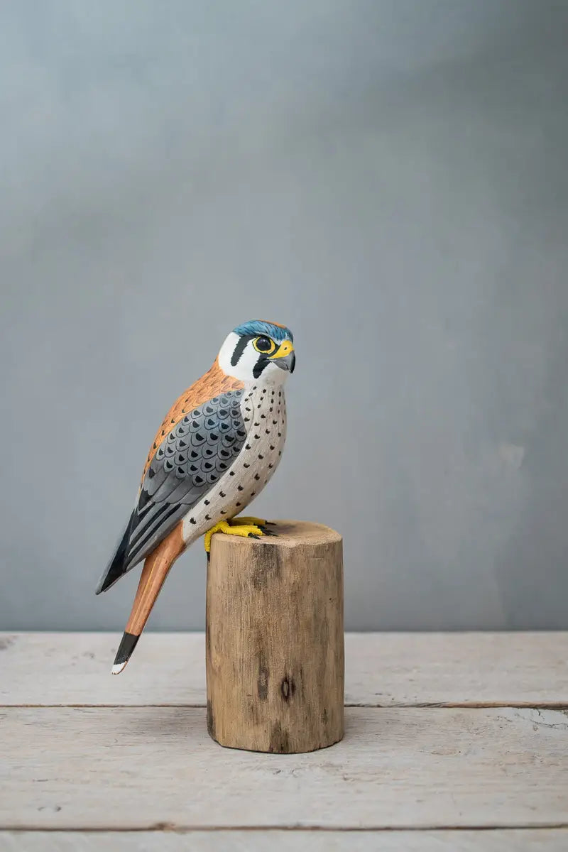 Aviologie - Bird Sculpture - Kestrel - 12"