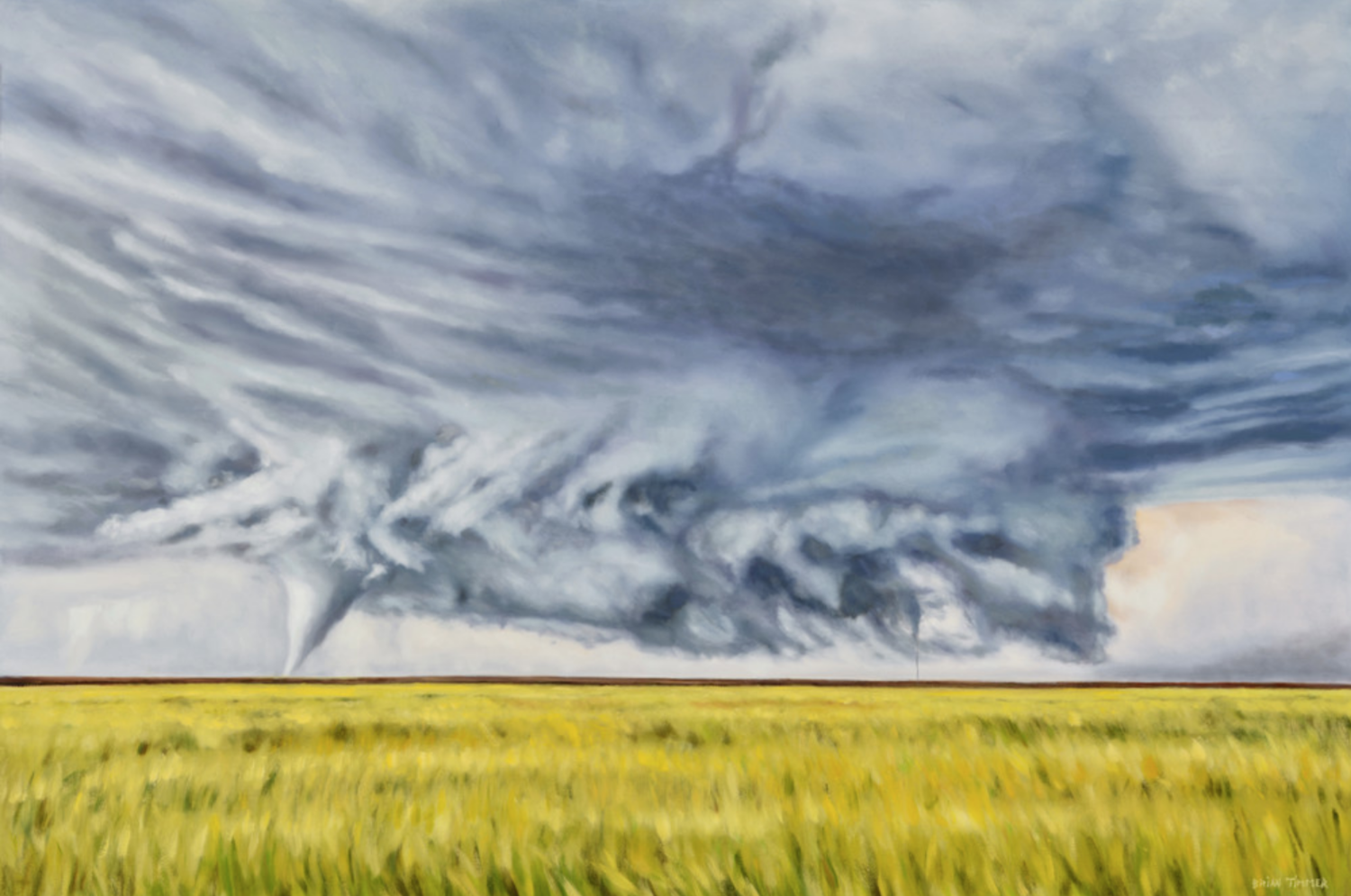 Timmer - Framed Canvas Print 24 x 36 - Wind and Fury