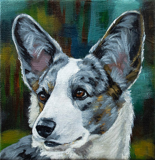 Corbello - Original Acrylic on Canvas - "Merle Corgi" - 6 x 6