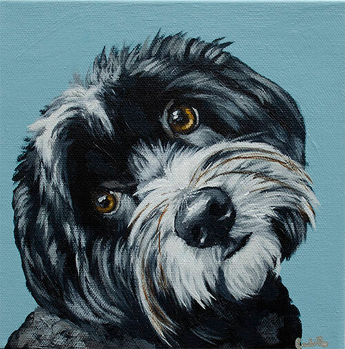 Corbello - Canvas Print on Wood - "Havanese" - 6 x 6