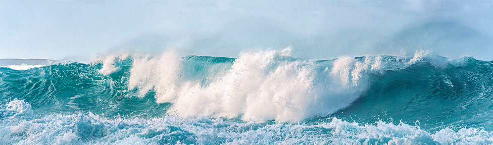 Forcade - Framed Photograph on Canvas - "Neptune's Horses" - 15 x 48