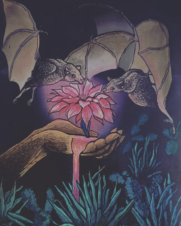 Caitlin Penny - Framed Print on Handmade Paper - 'Mistakes and Progress: Bloom'